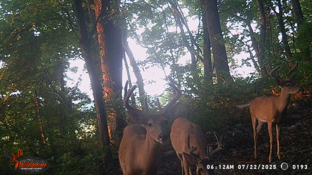 Learn About Hunting 